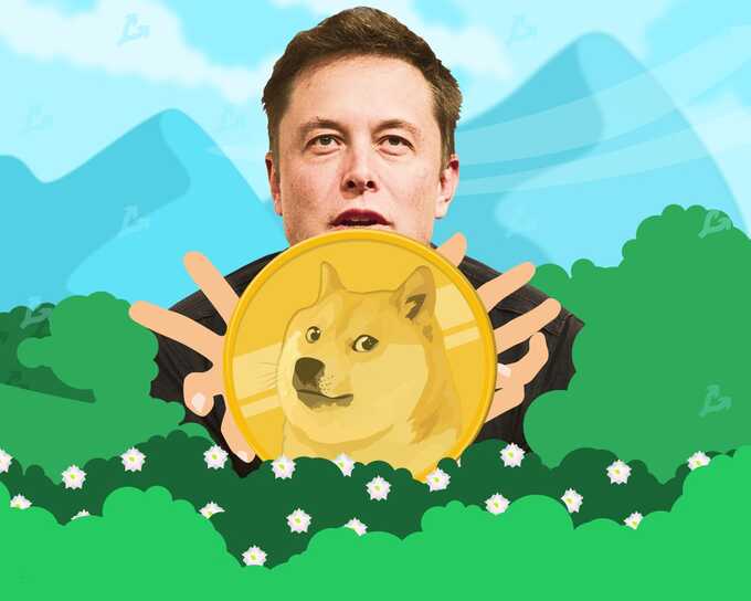  , SpaceX  Tesla    $258    Dogecoin